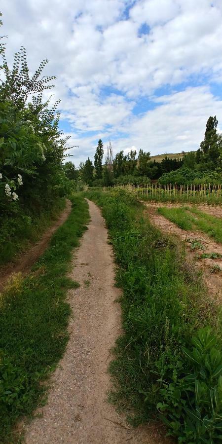 Apartamento Entrevinas En El Corazon De La Rioja Fuenmayor Kültér fotó